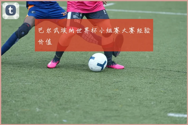 巴尔武埃纳世界杯小组赛大赛经验价值
