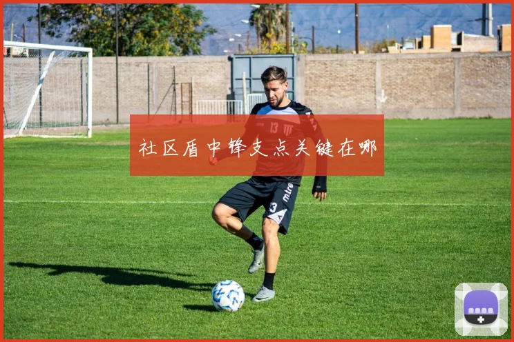 社区盾中锋支点关键在哪