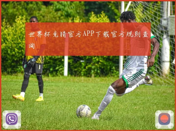 世界杯竞猜官方APP下载官方规则查询