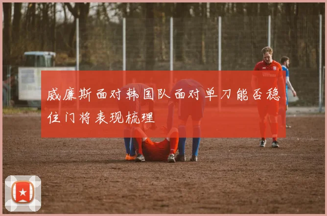 威廉斯面对韩国队面对单刀能否稳住门将表现梳理