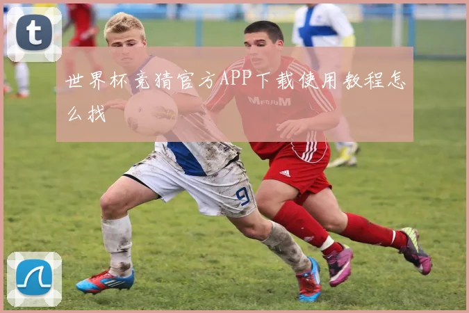 世界杯竞猜官方APP下载使用教程怎么找